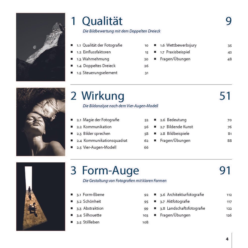 Das grosse Lehrbuch - Bilder analysieren