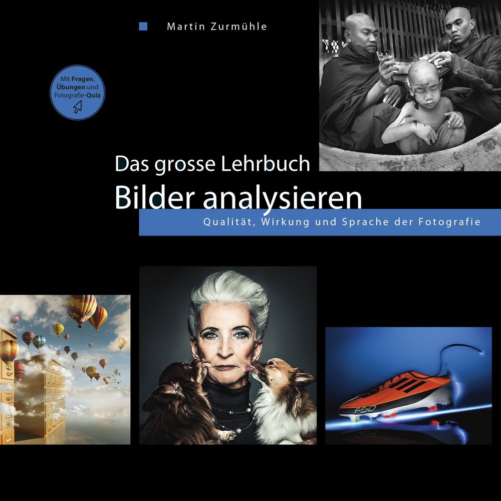 Das grosse Lehrbuch - Bilder analysieren